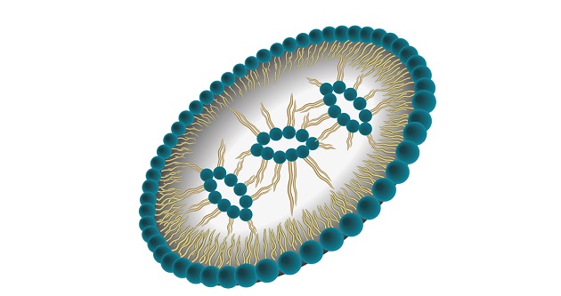 Aşı Taşıyıcı Sistemlerin Tasarımında Lipid Nanopartiküllerin Kullanımı