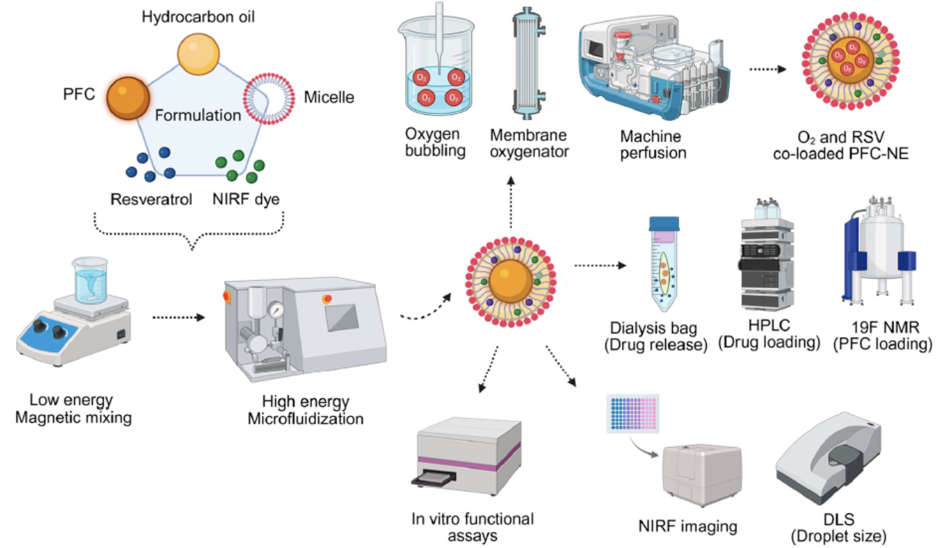 Nanoemülsiyonlarla Organ Korumanın Geliştirilmesi