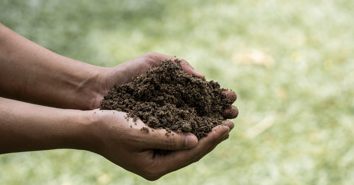 PFAS için Katı Numunelerden EPA 1633 Analitlerinin Ekstraksiyonunu Optimize Etme