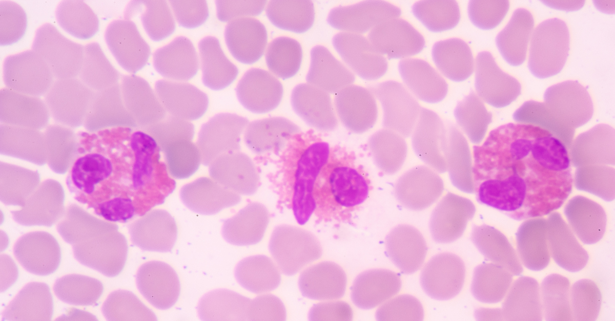 ASSIST PLUS Pipetleme Robotu ve Simple Western™ ile Western Blot Protokolünün Otomasyonu
